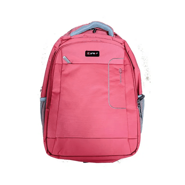 Front View of Laptop bag Backpack Pink